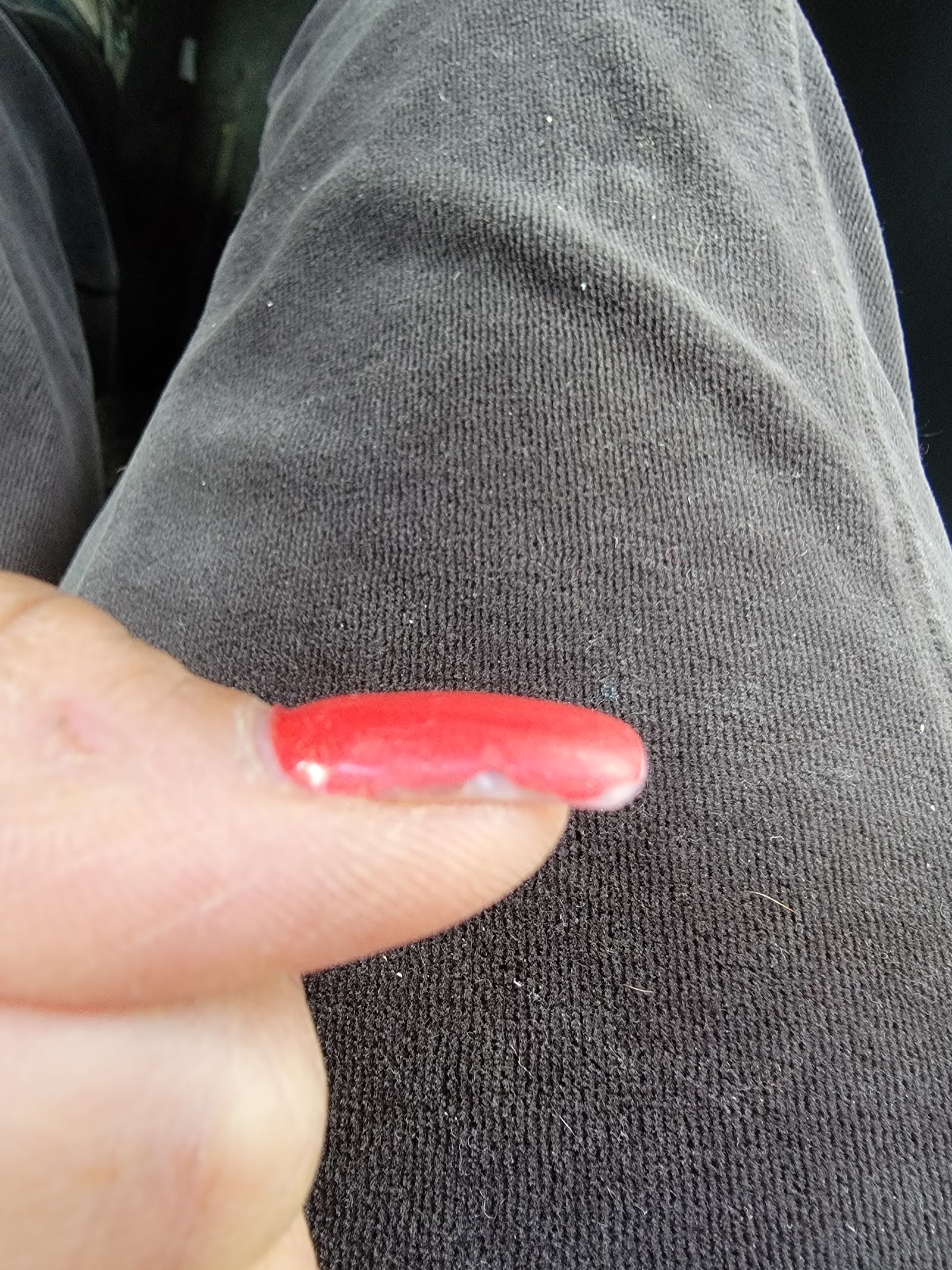 Signature Nail Spa nail photo 8